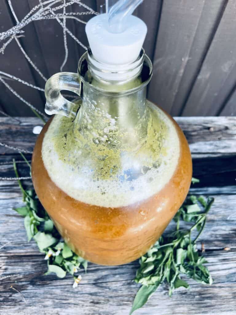 1 gallon beer recipe kits