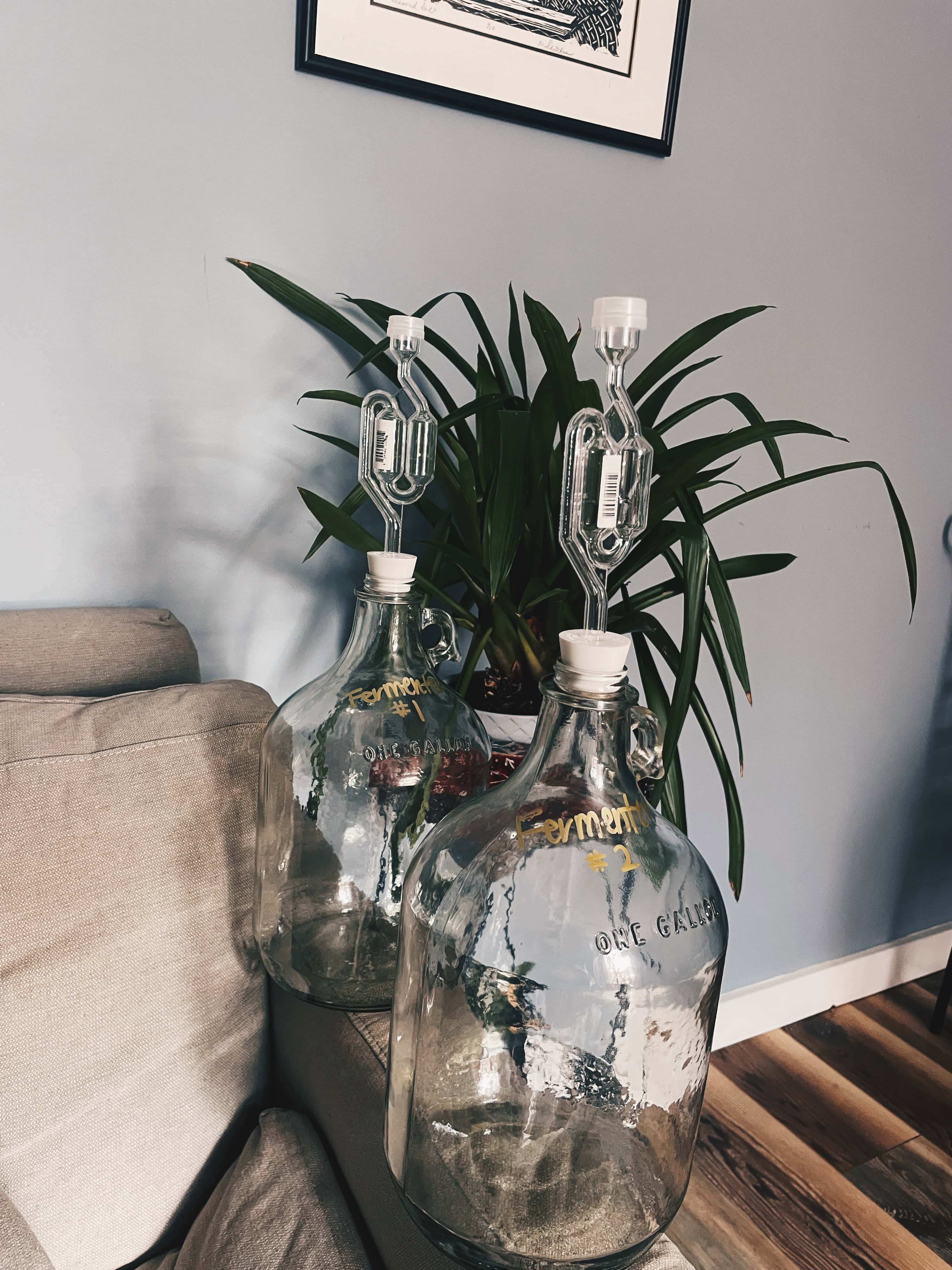 home brewing essentials