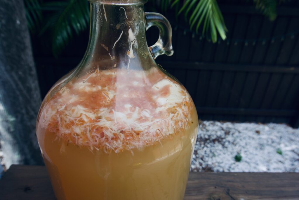 lacto fermented soda