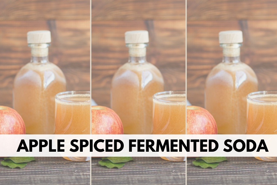 fermented soda