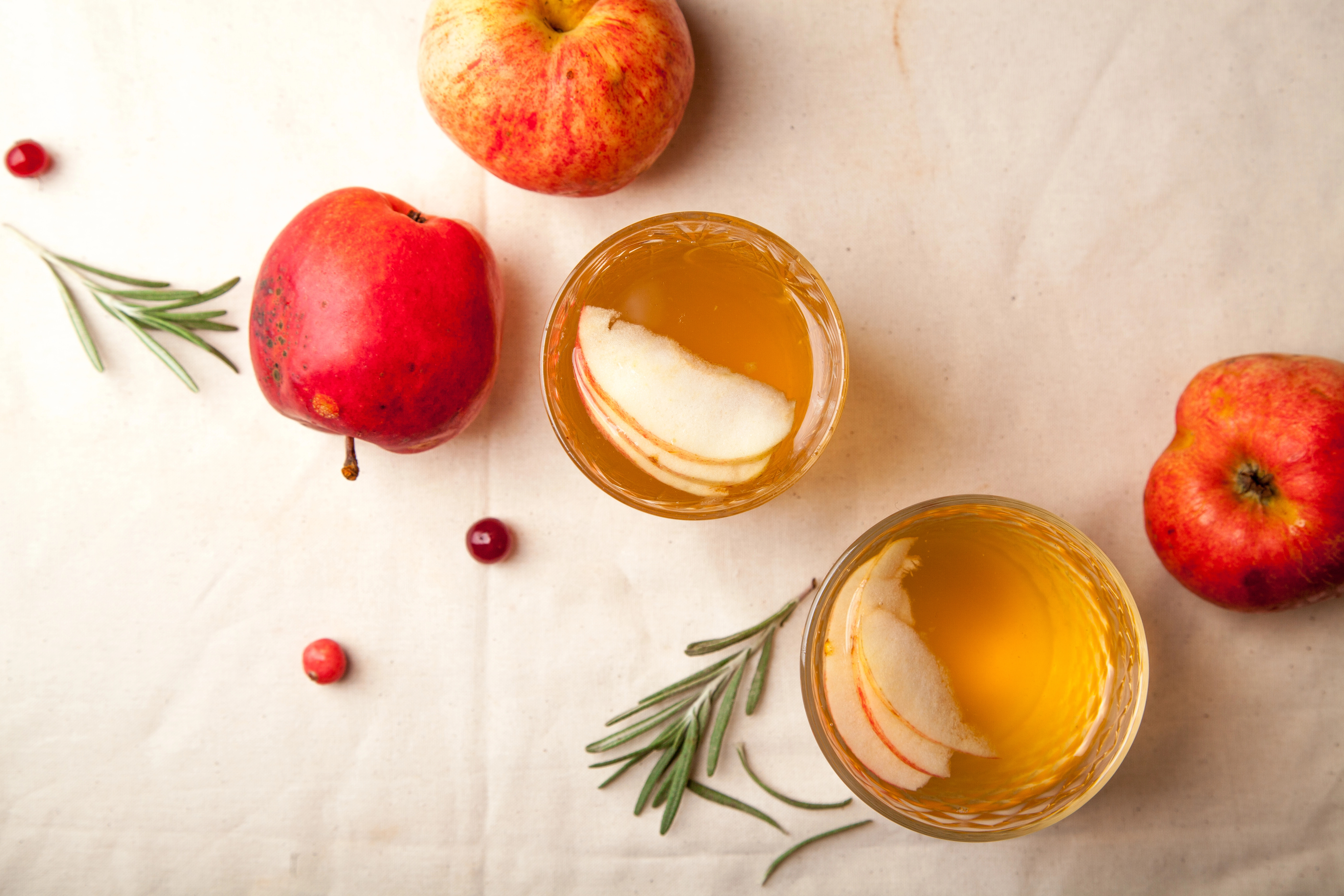 diy fermented soda