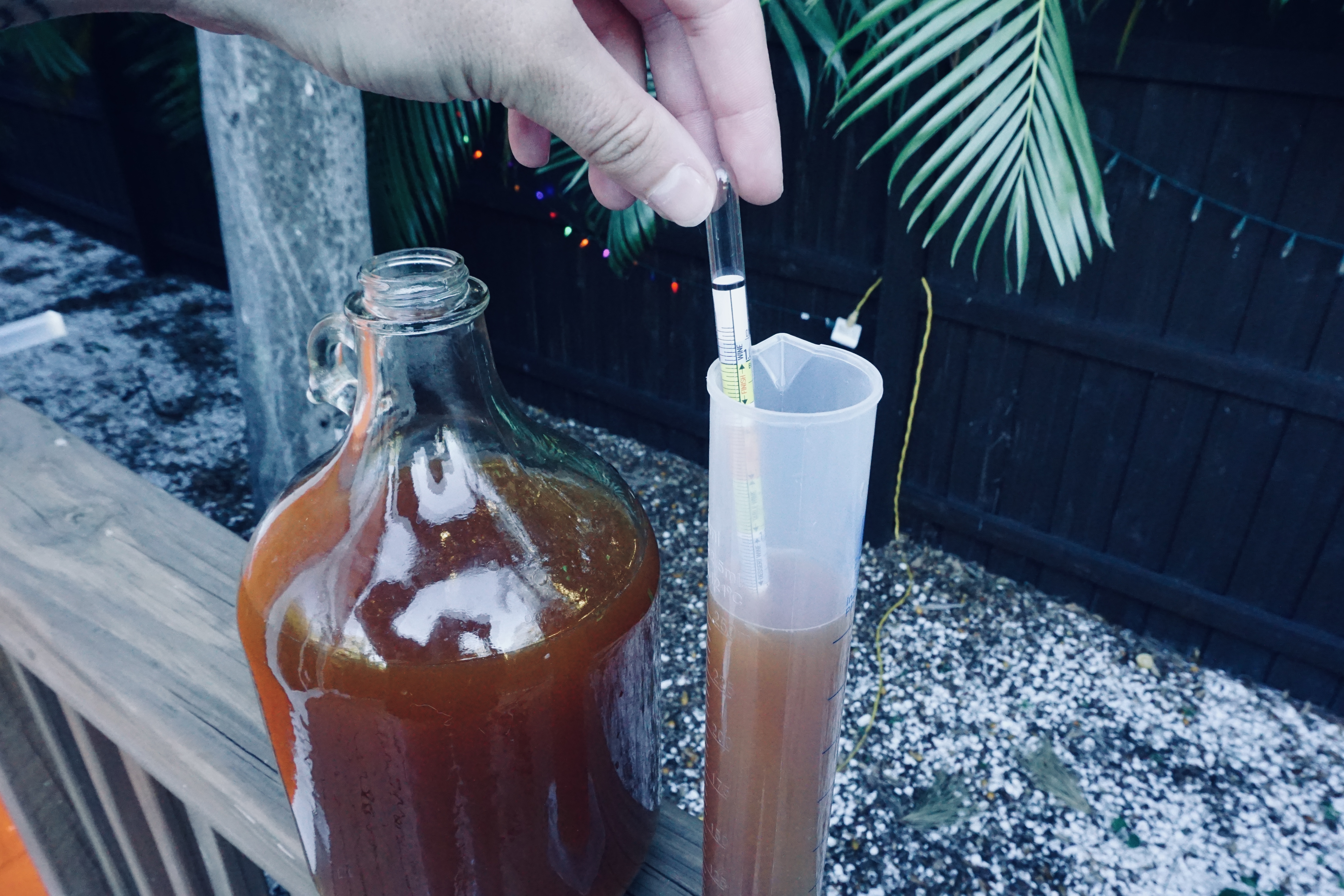 primary vs secondary fermentation