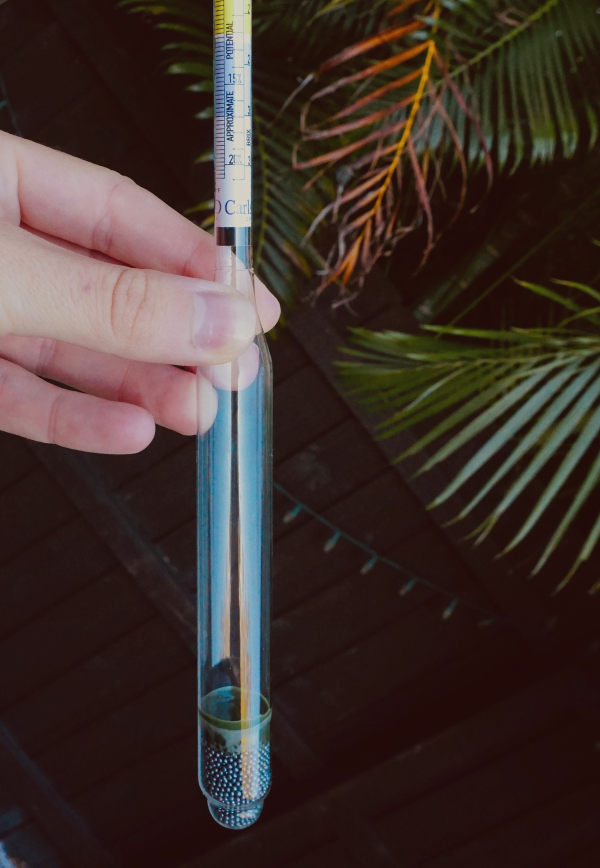 how to use a hydrometer