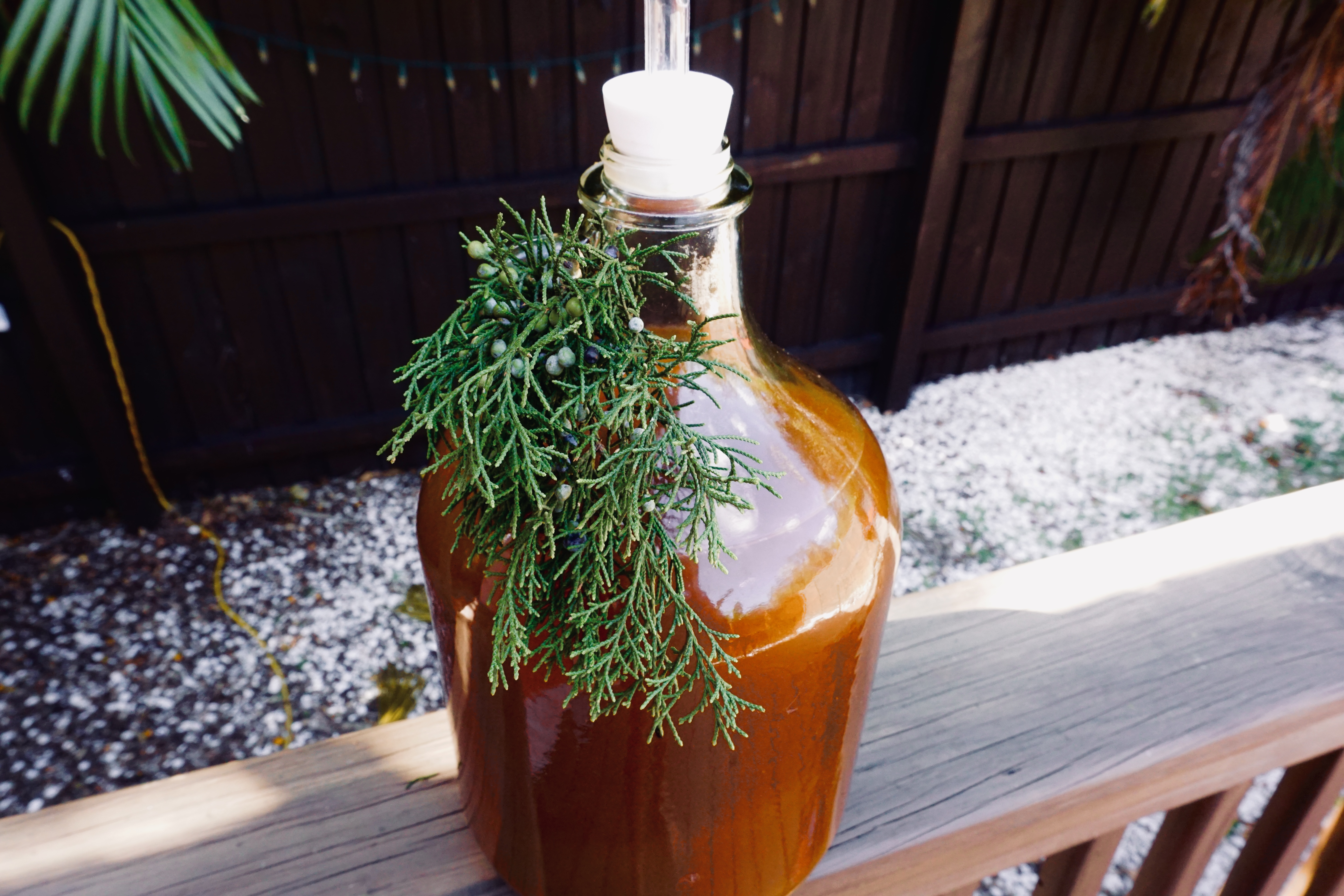 pine beer recipe