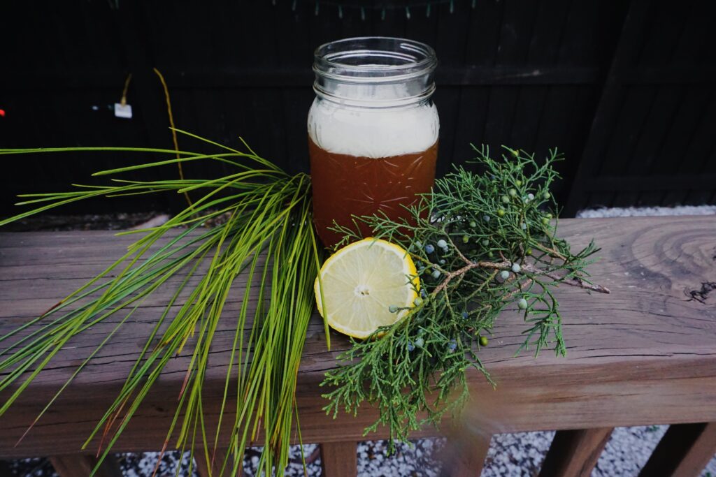 pine needle beer