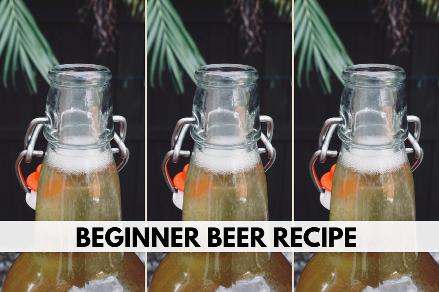 beginner beer recipe