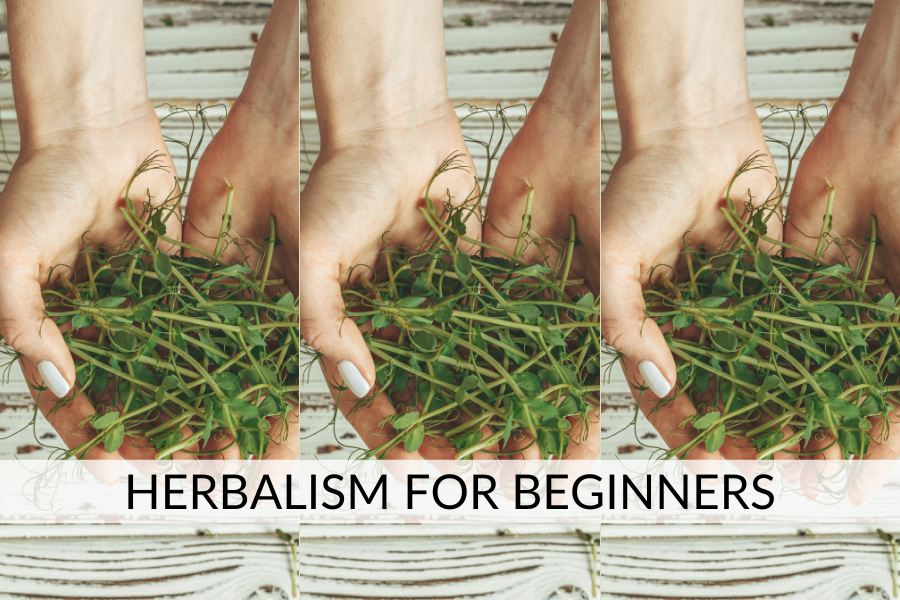 herbalism for beginners