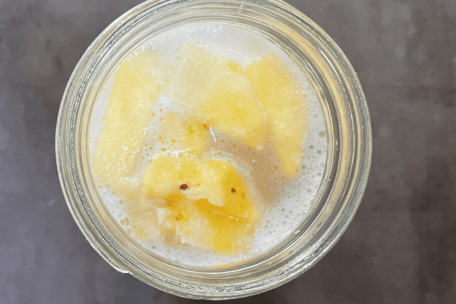 fermenting fruits recipes