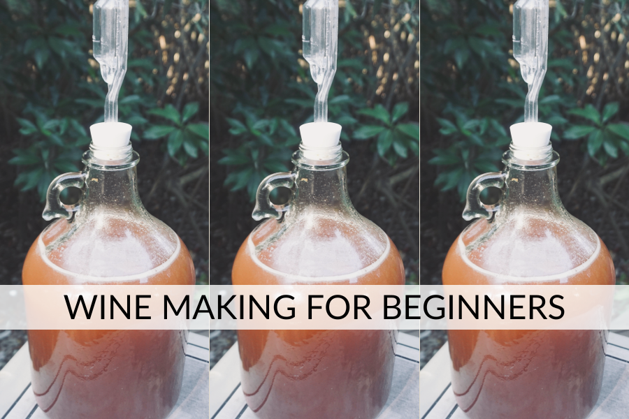 wine making for beginners