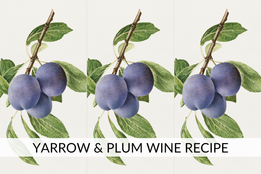 plum wine recipe