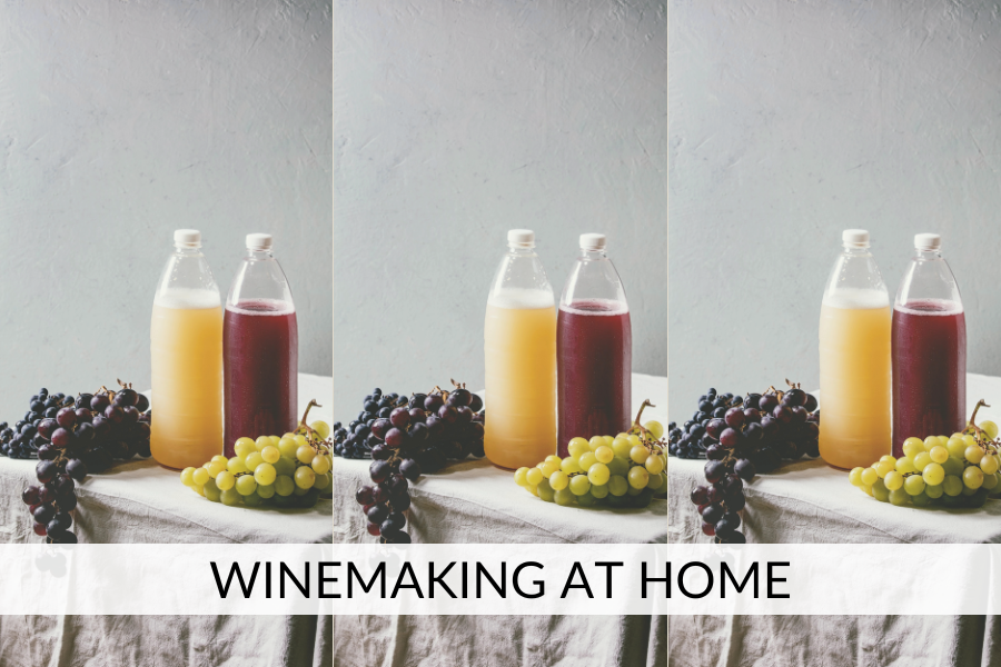 winemaking at home