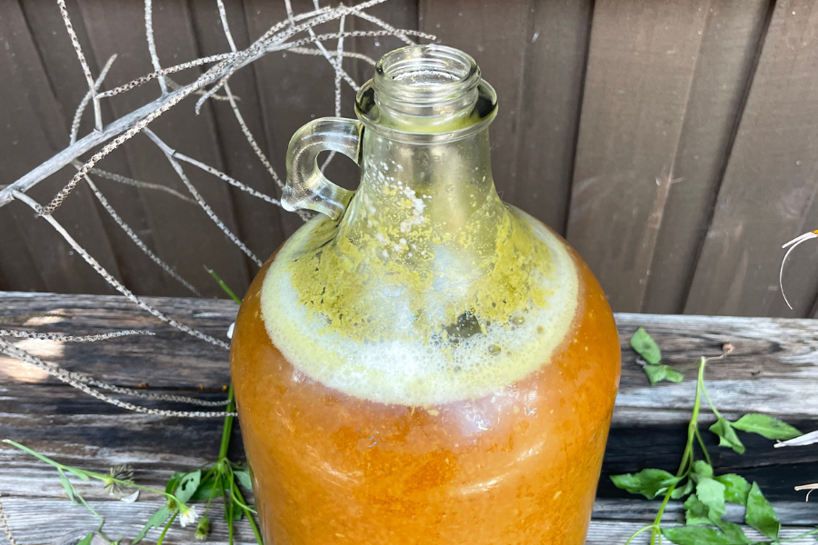 fermentation for beginners