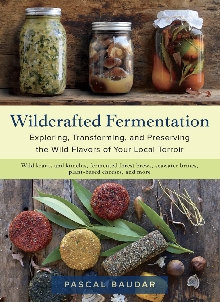 fermentation for beginners