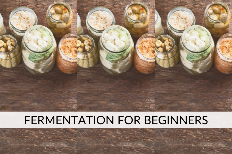 fermentation for beginners