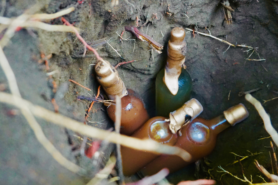 underground wine cellar home