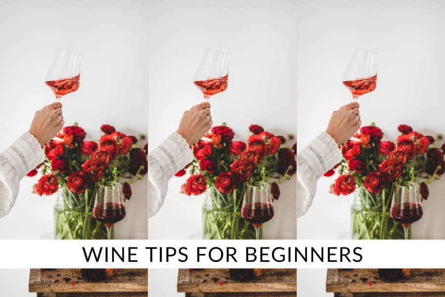 wine tips for beginners wine tips for beginners