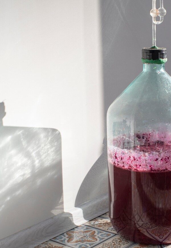 can you make your own wine