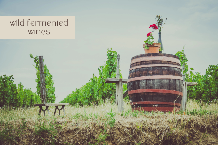 wild fermented wine