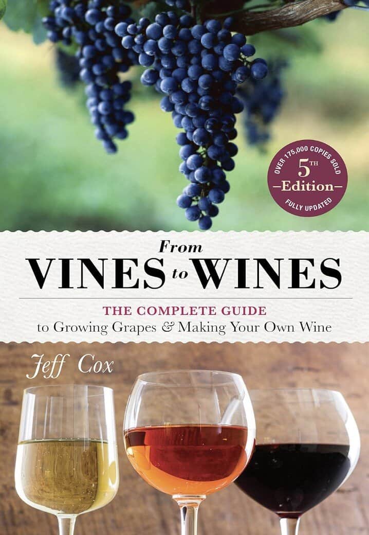 best wine making kit for beginners