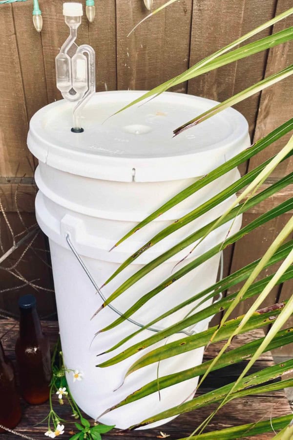 wine making equipment
