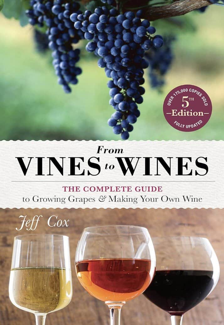 process of making wine