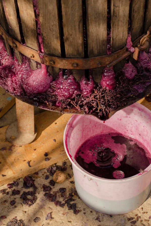 wine making equipment
