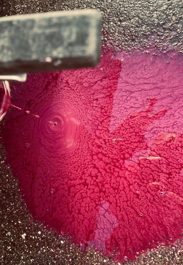process of making wine