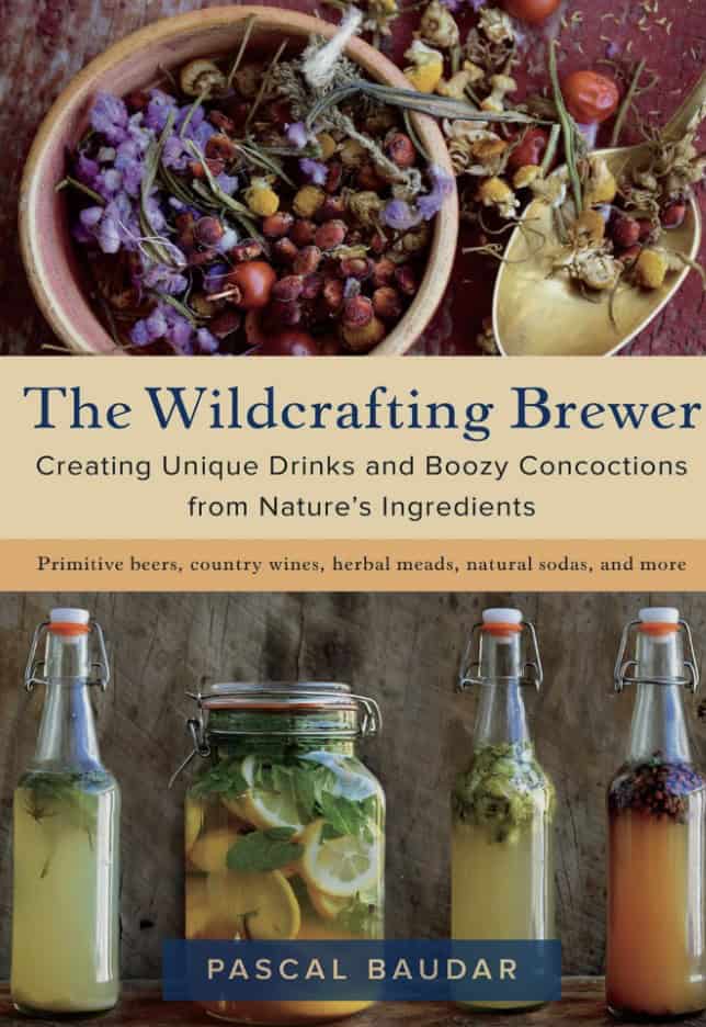 beer making for beginners