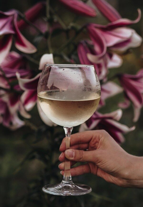 wine yoga